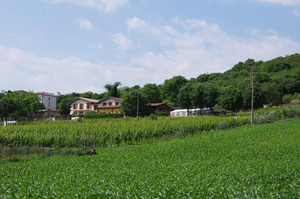 Agriturismo Casa Villi โซลเฟริโน ภายนอก รูปภาพ